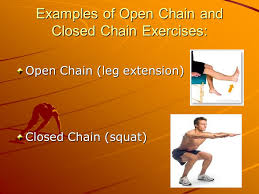 types of exercises you should know in gym